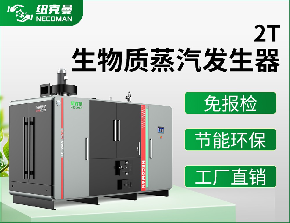 2噸 生物質蒸汽發生器