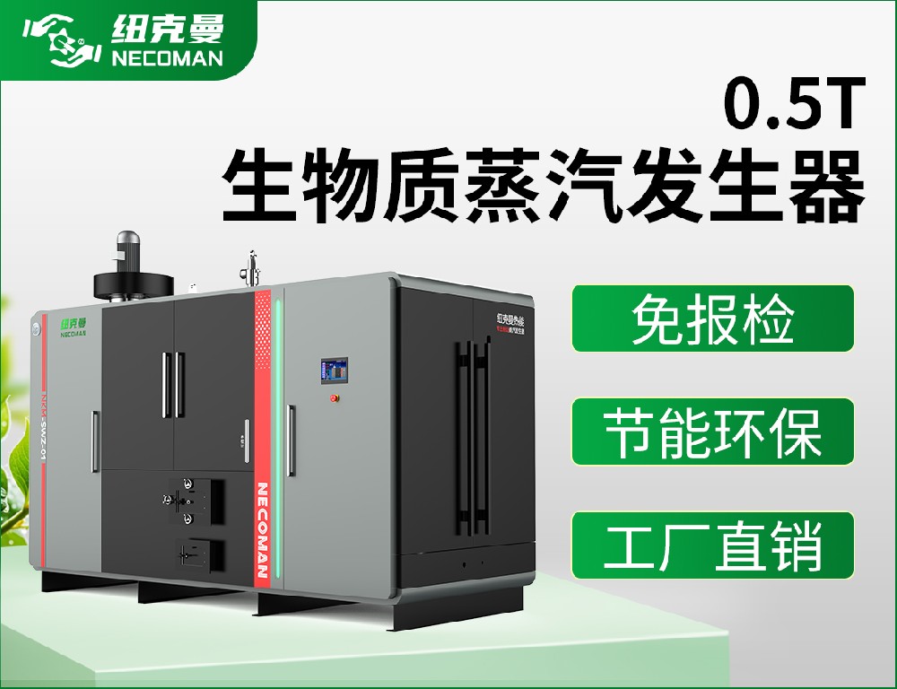 500kg 生物質蒸汽發生器