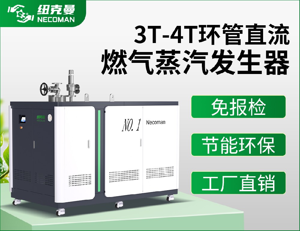 3噸-4噸 燃?xì)馊加驼羝l(fā)生器