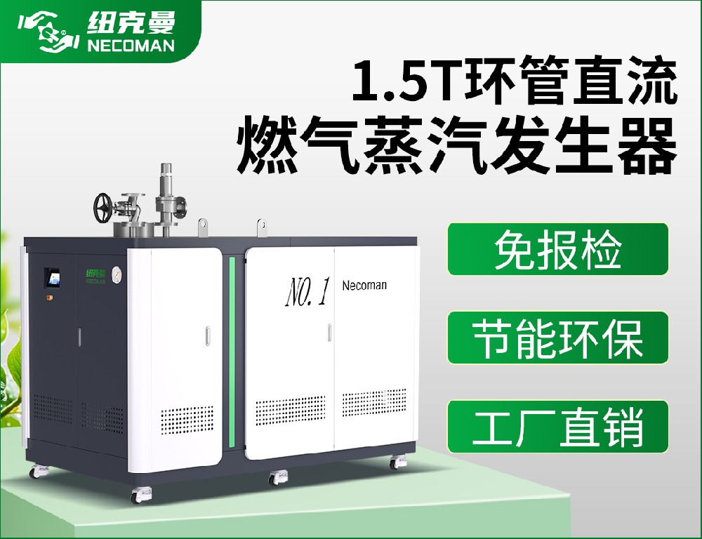 1.5噸 燃?xì)馊加驼羝l(fā)生器