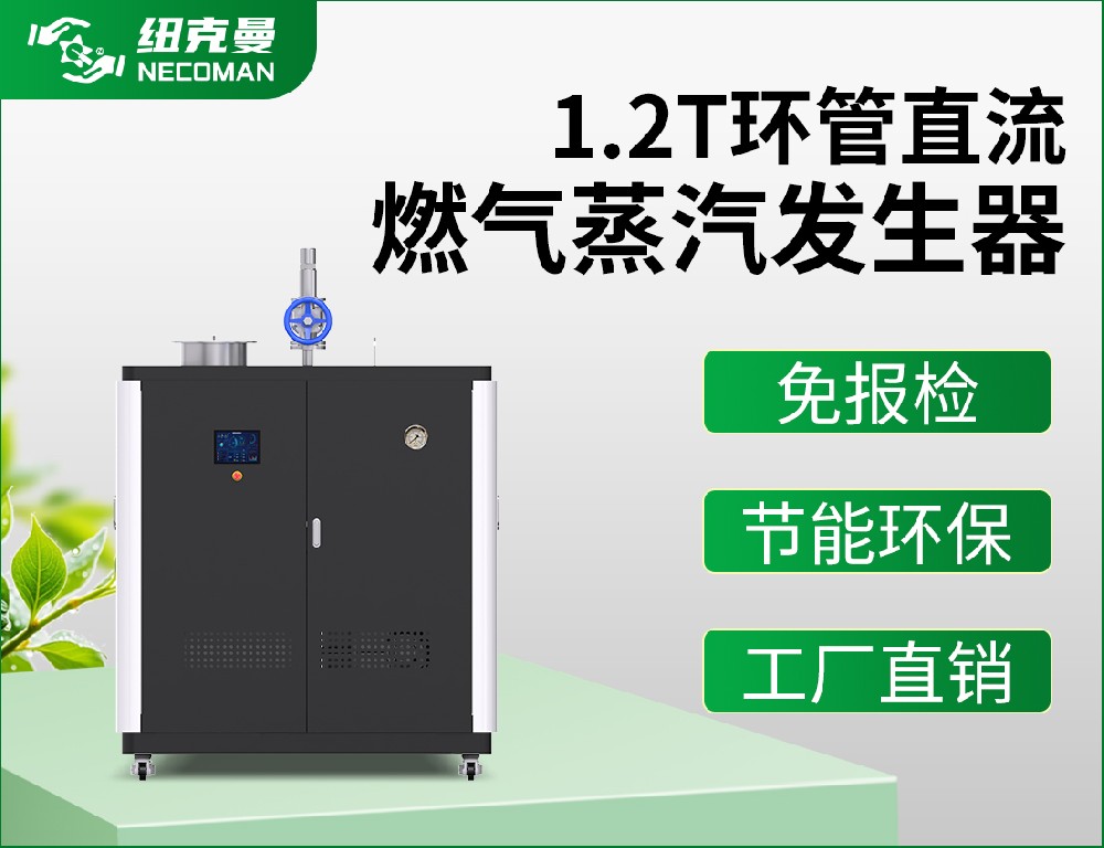 1.2噸 燃?xì)馊加驼羝l(fā)生器