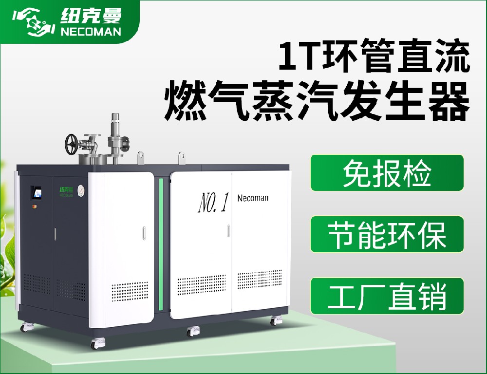 1噸 燃?xì)馊加驼羝l(fā)生器