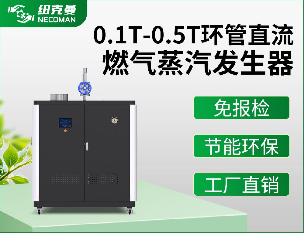 0.1噸-0.5噸 燃?xì)馊加驼羝l(fā)生