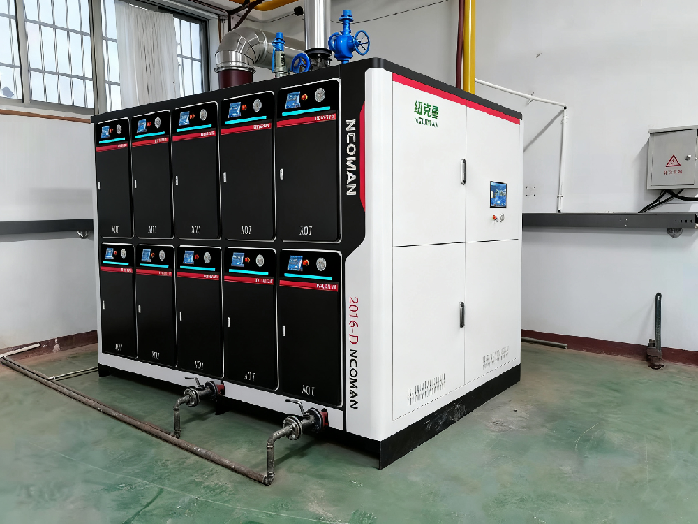 中國十大蒸汽發生器品牌推薦 紐克曼實力之選更可靠